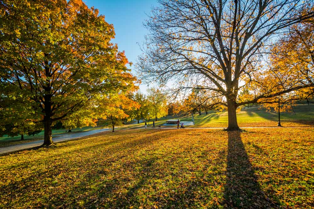 What to do in Baltimore: Patterson Park