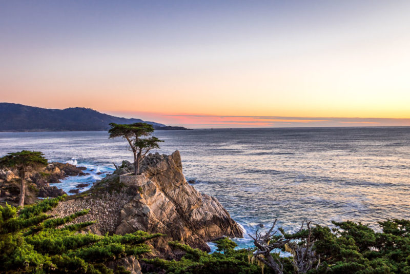 What to do in Carmel-by-the-Sea: 17-Mile Drive