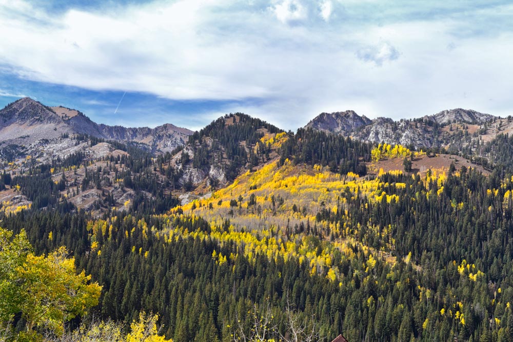 What to do in Park City: Guardsman Pass Scenic Backway