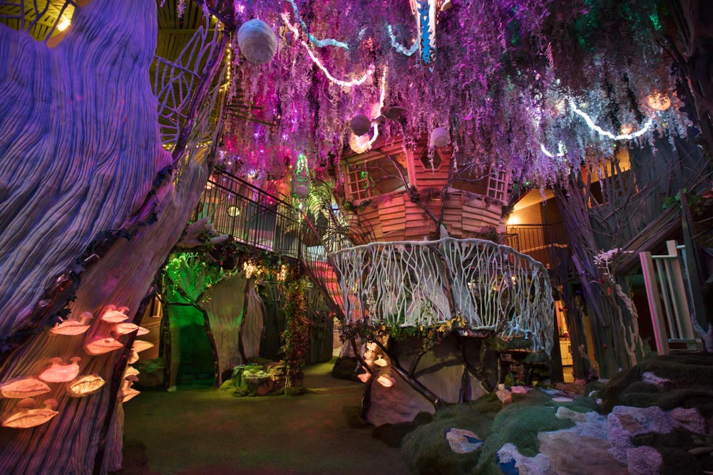 What to do in Santa Fe: Meow Wolf Installation