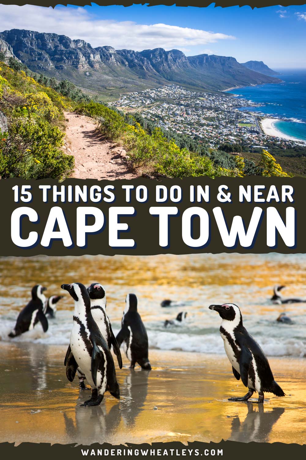 Adventures in and Near Cape Town
