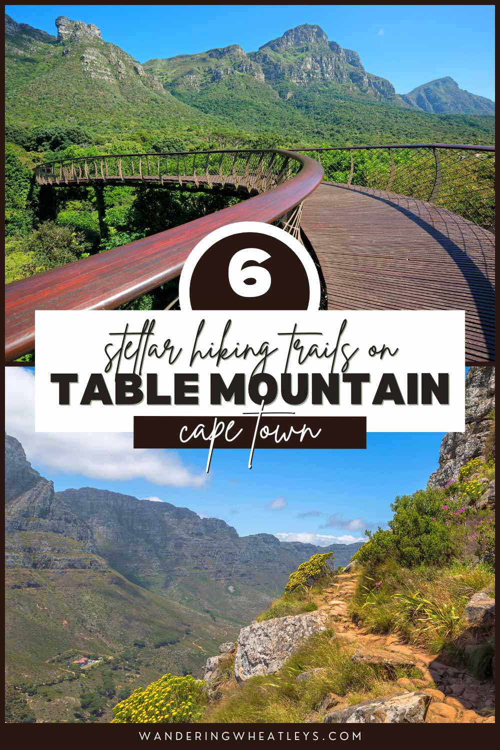 Best Hikes on Table Mountain in Cape Town