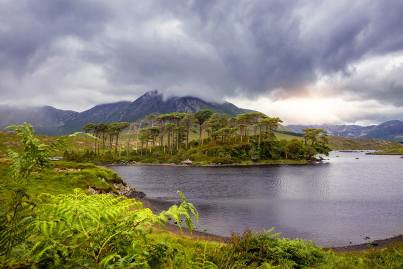 Best Things to do in Ireland: Connemara National Park