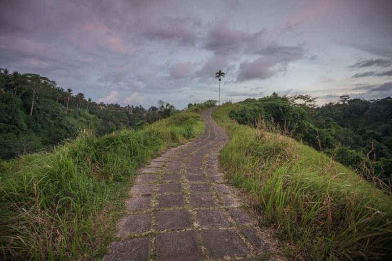 Best Things to do in Ubud: Campuhan Ridge
