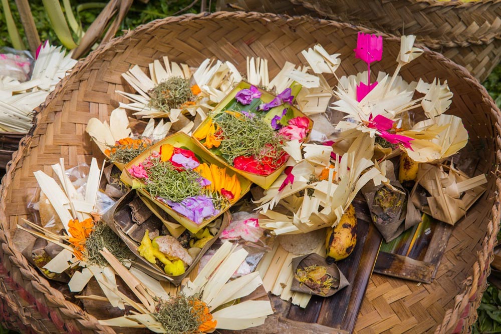 Best Things to do in Ubud: Offerings
