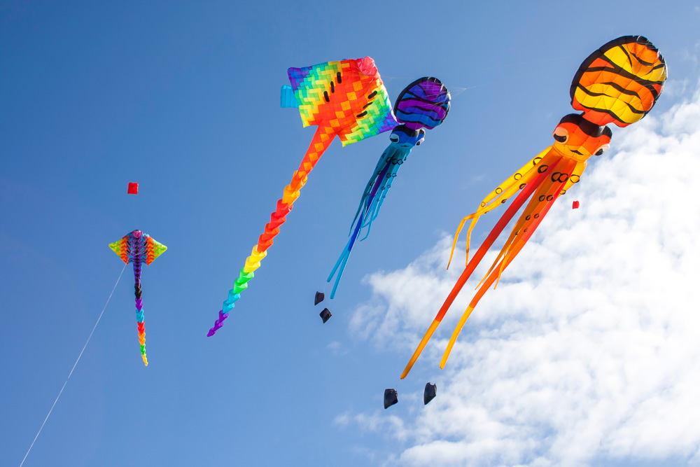 France Things to do: Berck-sur-Mer Kite Festival