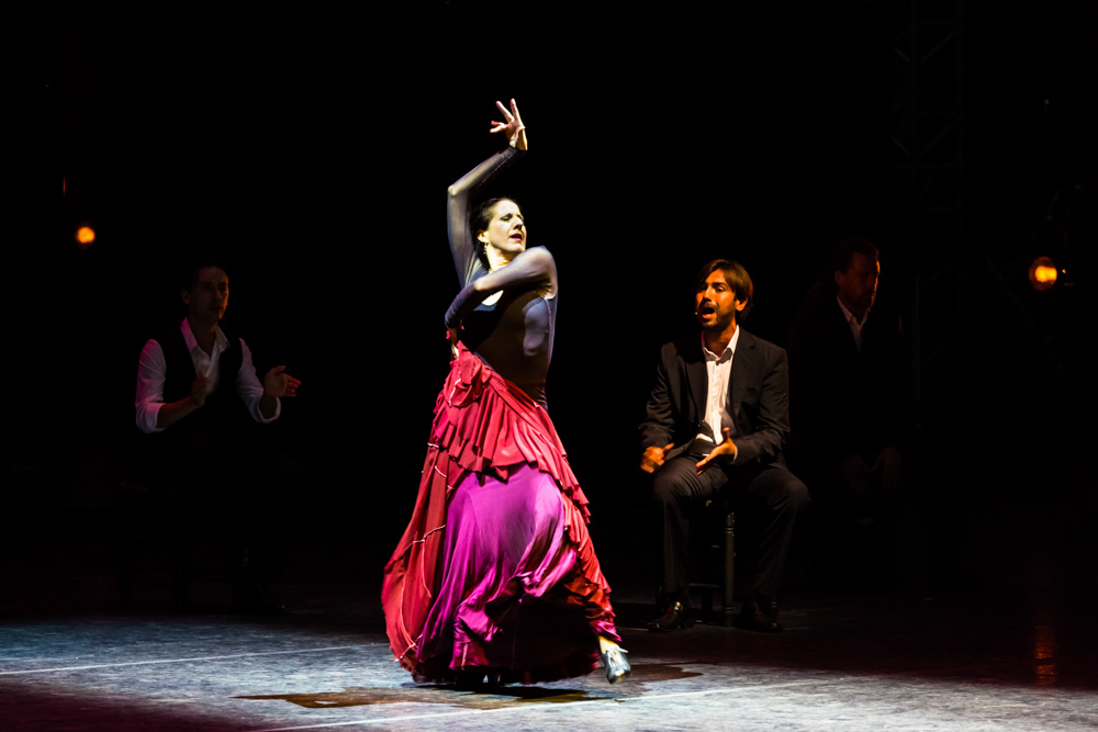 Fun Things to do in Córdoba: Flamenco show