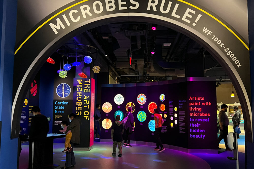 Fun Things to do in New Jersey: Liberty Science Center