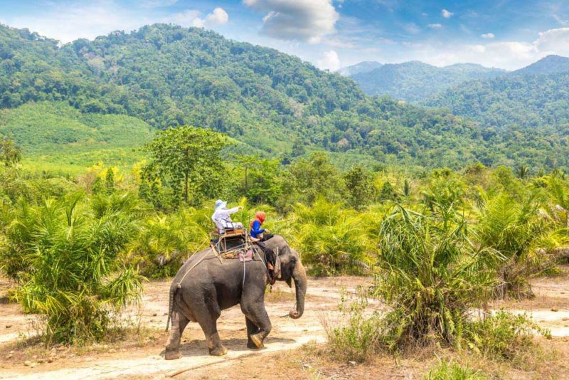 Fun Things to do in Phuket Thailand: Jungle Safari Adventure