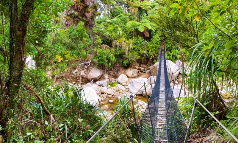 Guide to the Heaphy Track in New Zealand