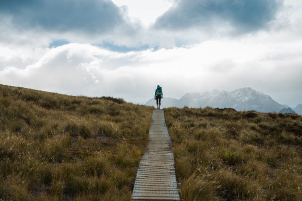 Guide to the Kepler Track in New Zealand – Wandering Wheatleys