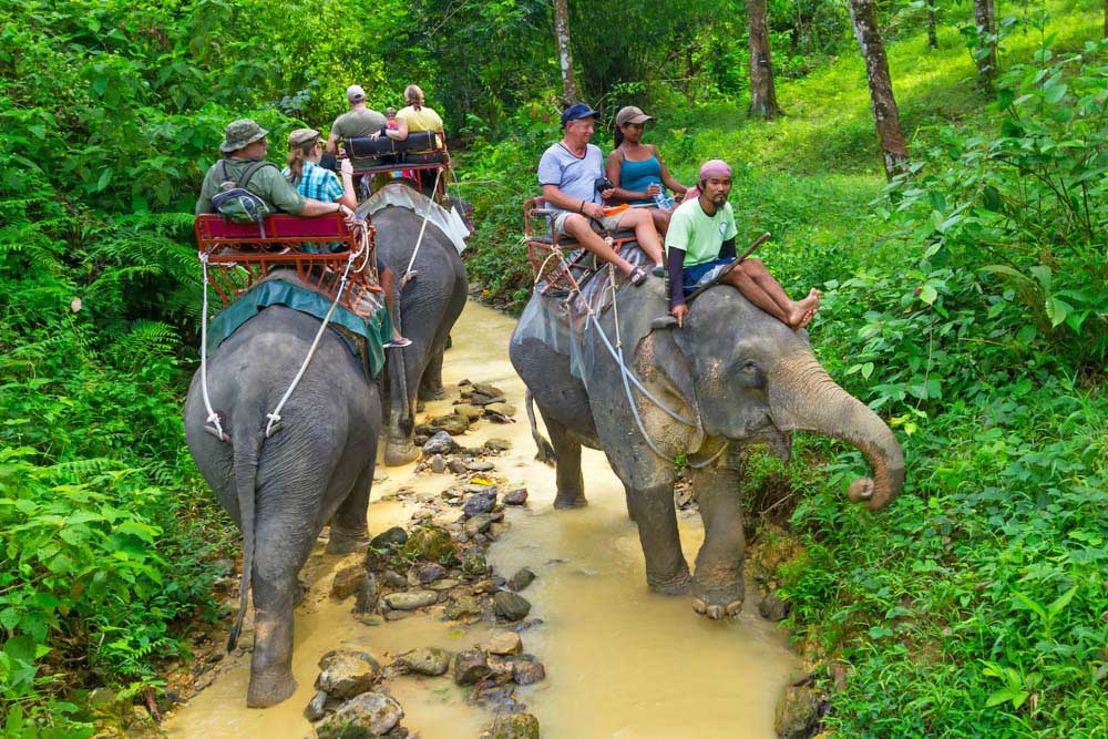 Must do things in Phuket Thailand: Jungle Safari Adventure