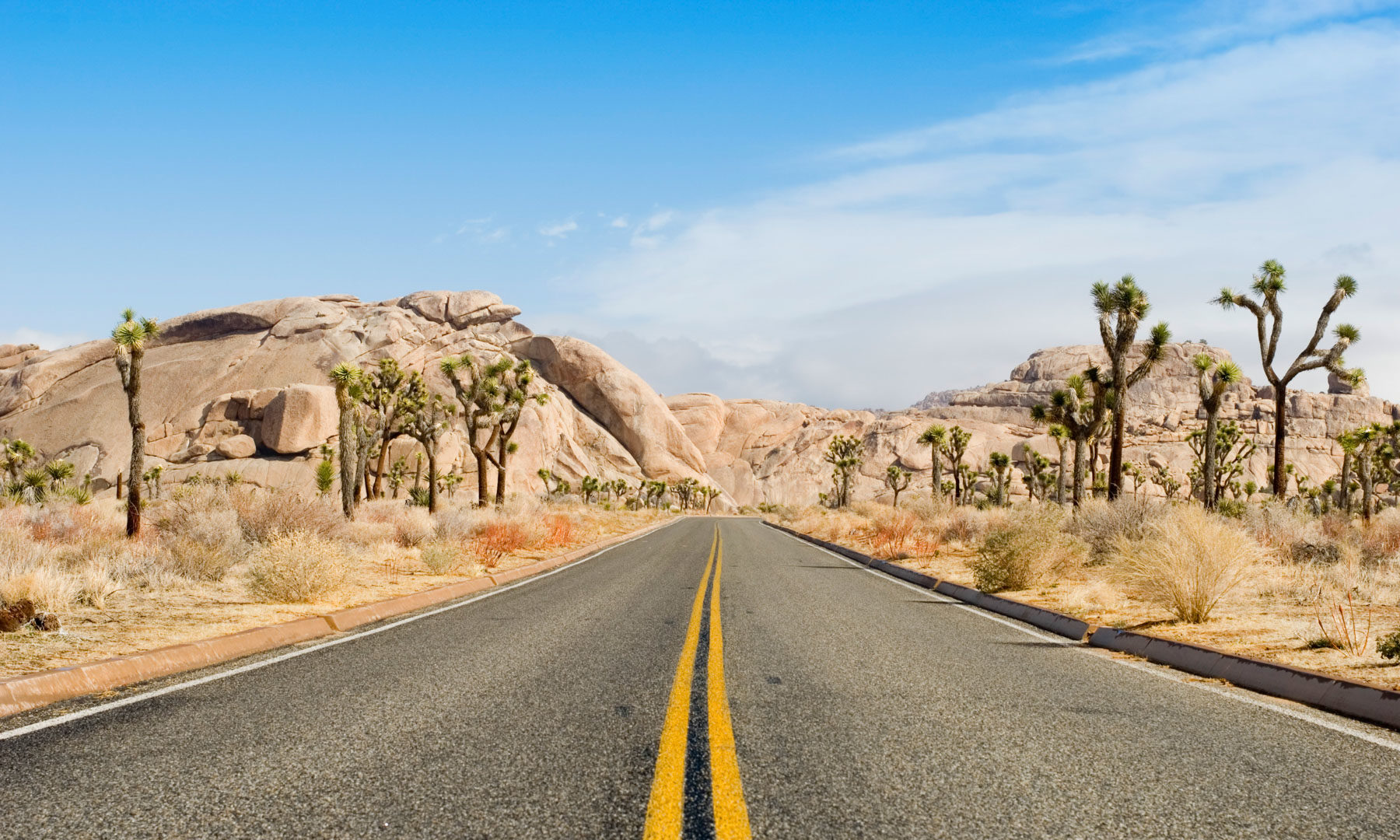 The Best Things to do in Joshua Tree National Park