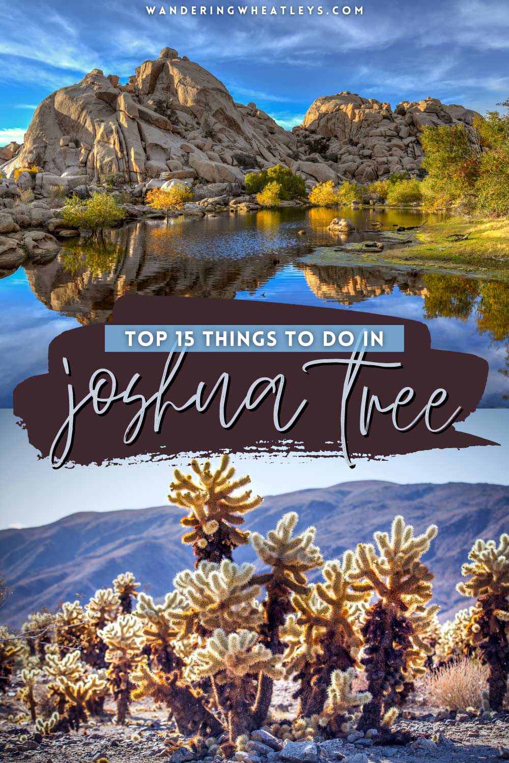 The Best Things to do in Joshua Tree National Park