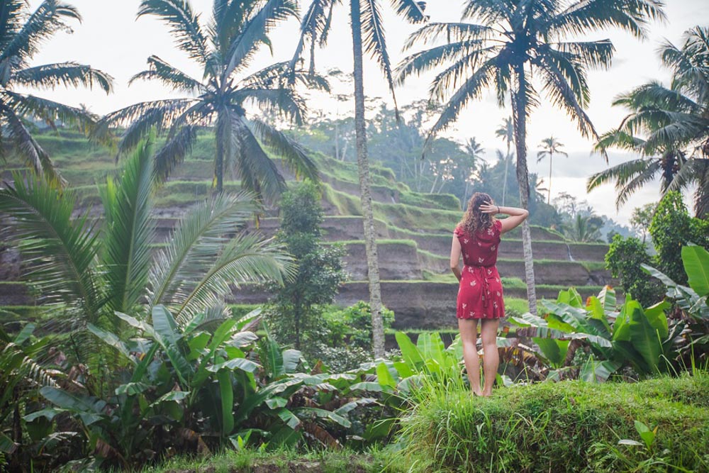 Ubud, Indonesia Travel Guide: Tegallalang