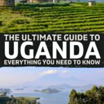 uganda tour guide forum