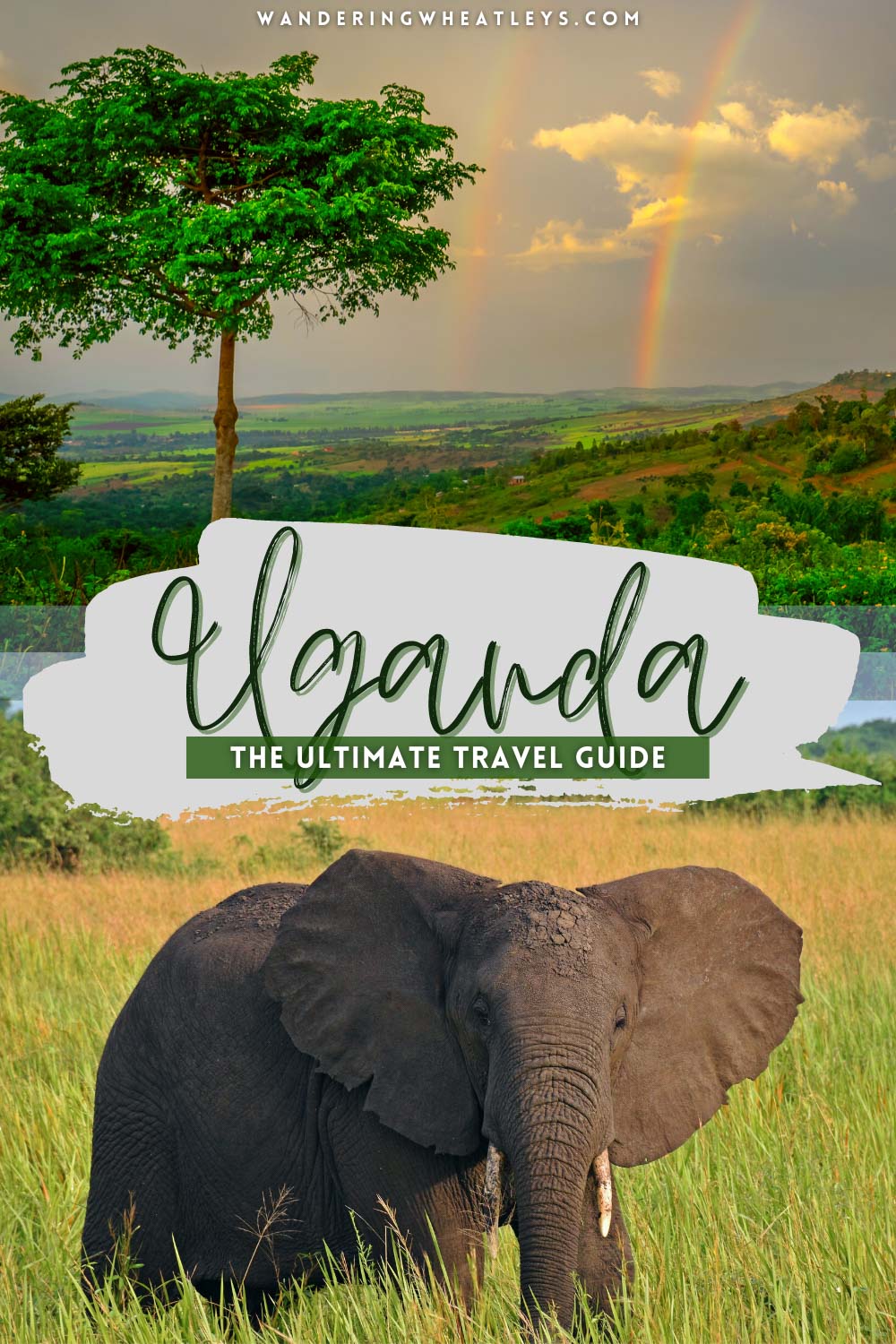 uganda tour guide