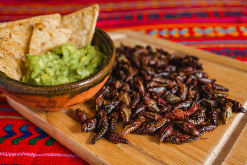 Unique Foods to try in Mexico: Chapulines