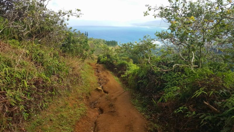 Waihee Ridge Hiking Guide