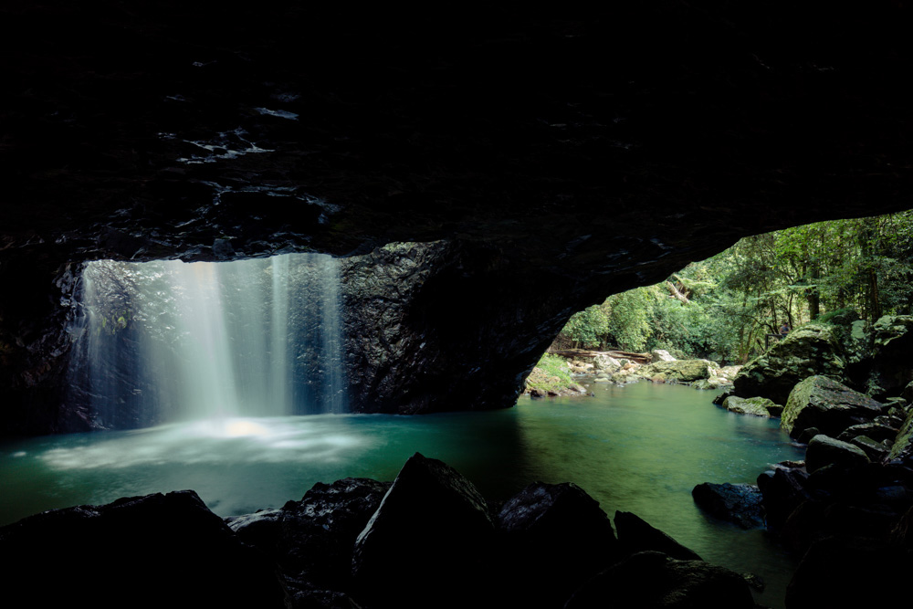 What to do in Gold Coast: Springbrook National Park