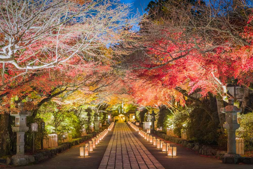 Where to Vacation in October to Avoid Crowds: Japan