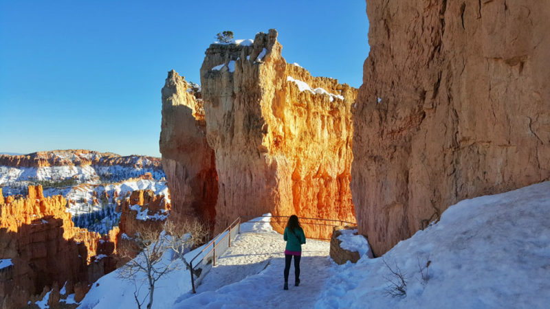 Best Hiking Trails in Bryce Canyon