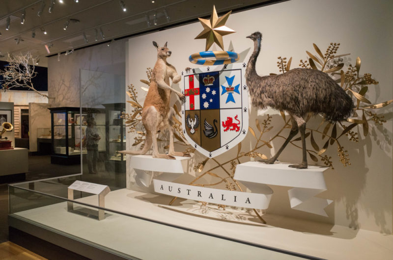 Cool Things to do in Melbourne: Melbourne Museum