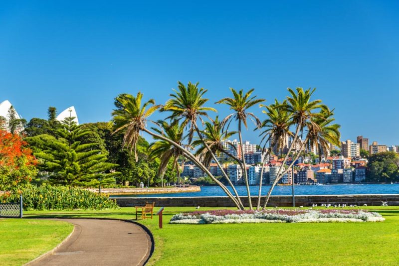Cool Things to do in Sydney: Royal Botanic Garden