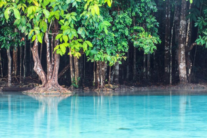 Fun Things to do in Krabi, Thailand: Krabi Hot Springs and Emerald Pool