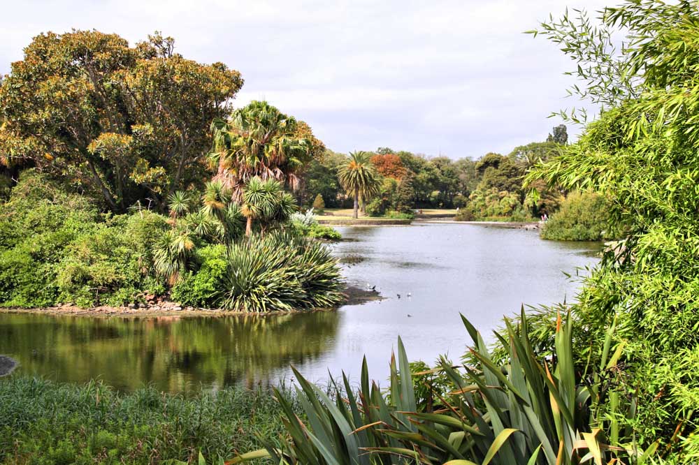 Fun Things to do in Melbourne: Royal Botanic Garden