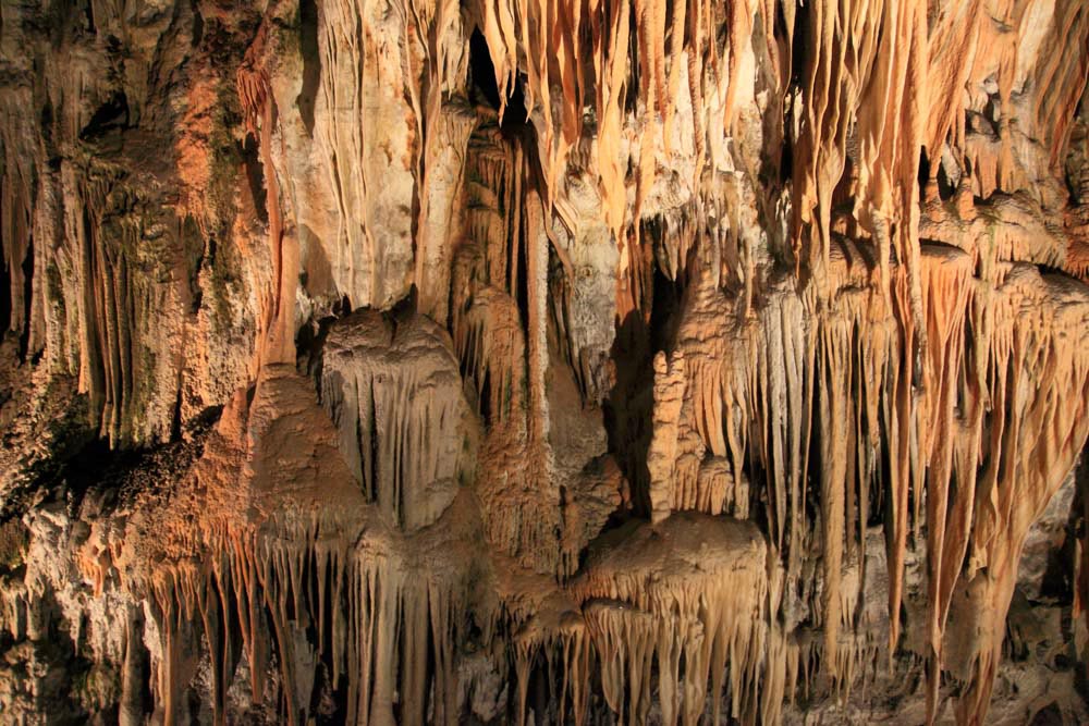 Fun Things to do in Slovenia: Postojna Cave