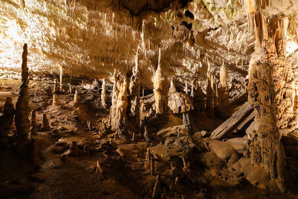 Must do things in Slovenia: Postojna Cave
