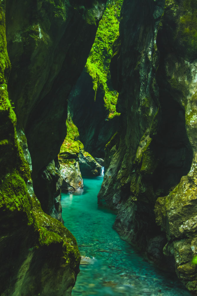 Slovenia Things to do: Tolmin Gorge Trail