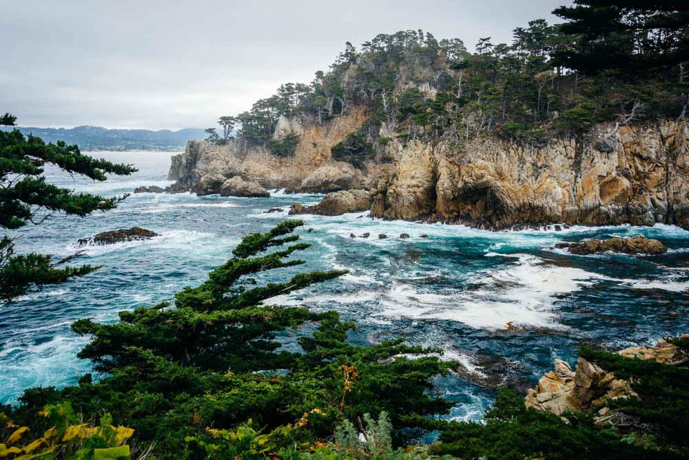 Unique Things to do in Big Sur, California: Point Lobos State Natural Reserve
