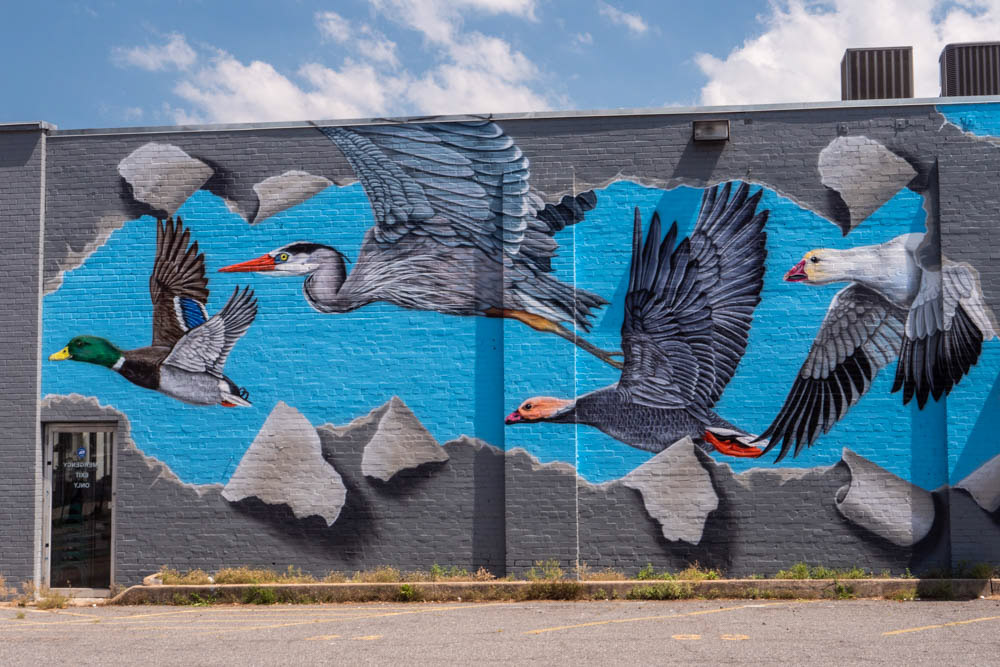 Unique Things to do in Little Rock Arkansas: Street Art Murals