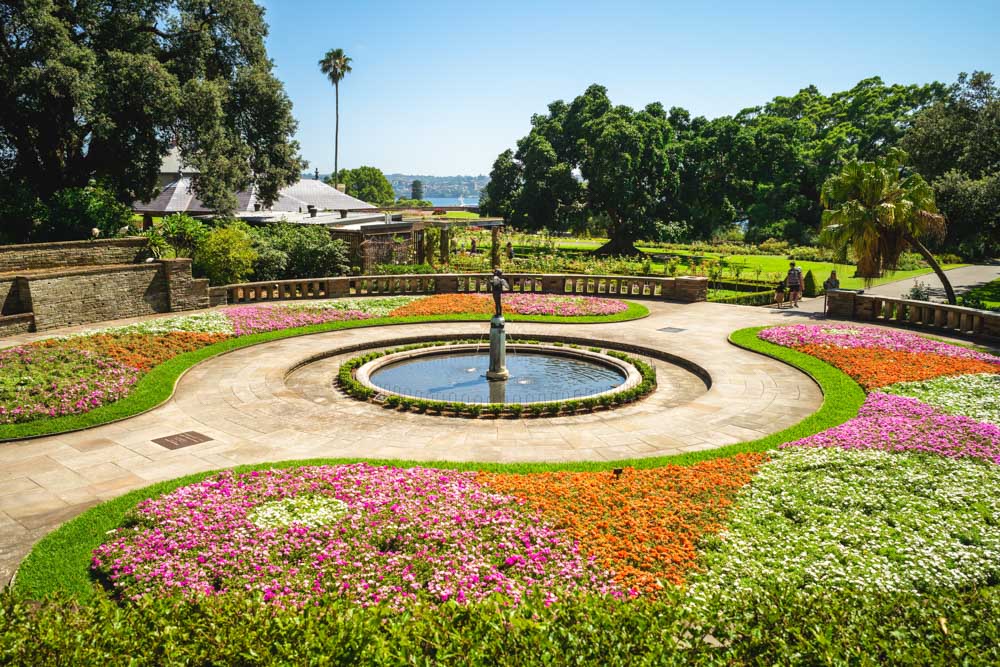 Unique Things to do in Sydney: Royal Botanic Garden