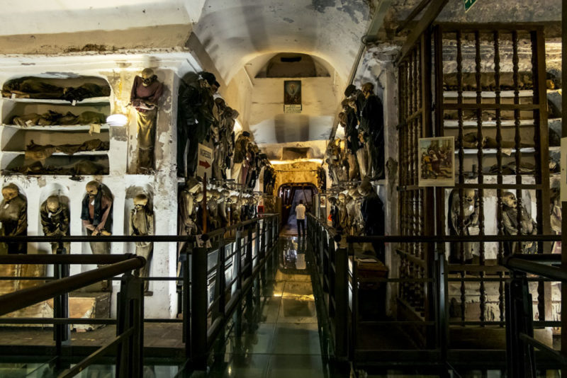 What to do in Palermo: Capuchin Catacombs