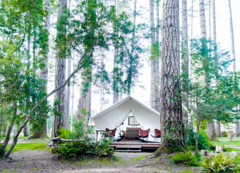 Where to go Glamping Camping Spots in Mendocino, California: Mendocino Grove