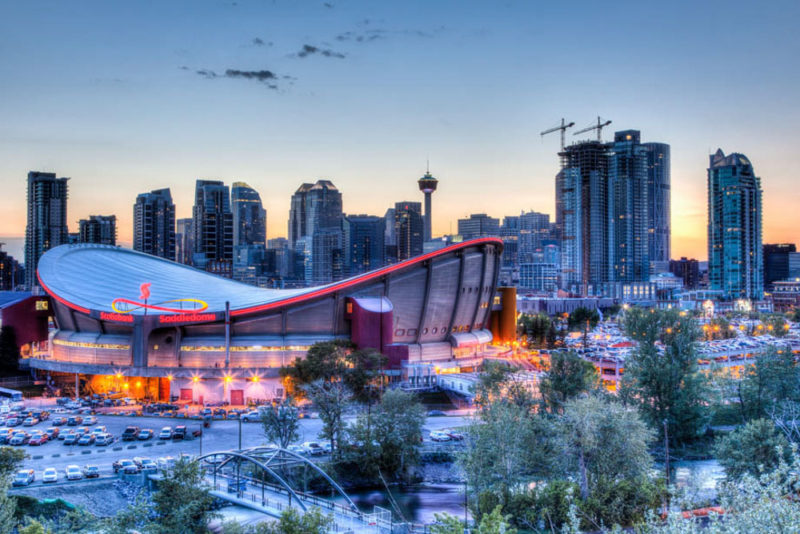 Cool Things to do in Calgary: Saddledome