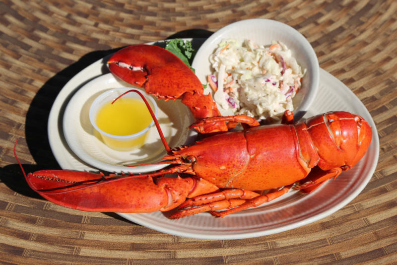 Must do things in Portland, Maine: Lobster