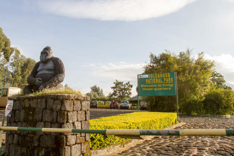 Must Visit Places in September: Volcanoes National Park, Rwanda