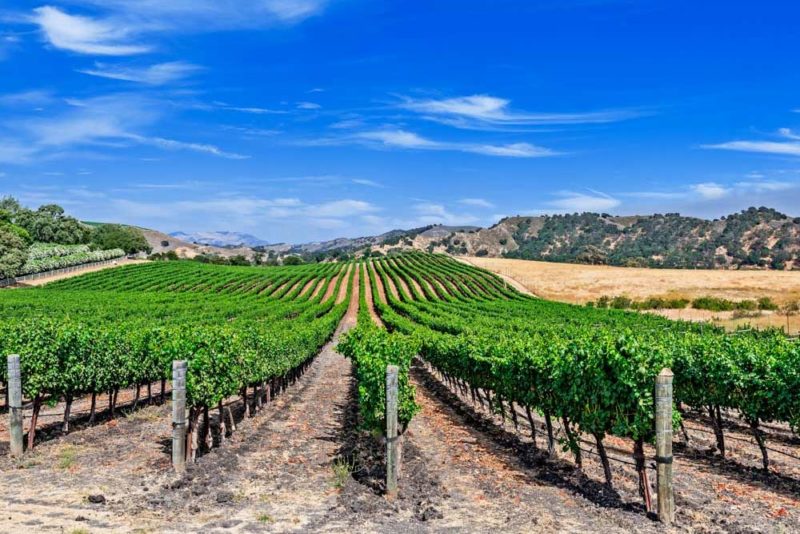 Must Visit Places in September: Wine Country, California