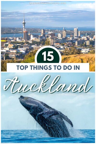 The Best to Do in Auckland