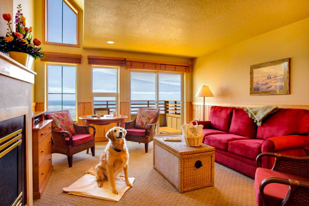 Unique Cannon Beach Hotels: The Ocean Lodge