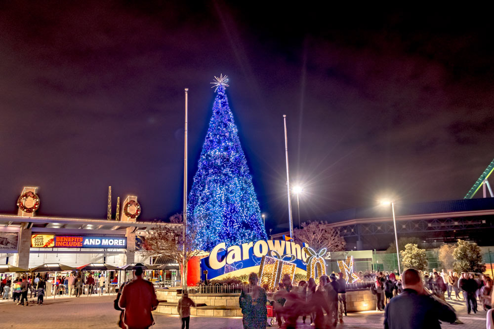 Unique Things to do in Charlotte: Carowinds