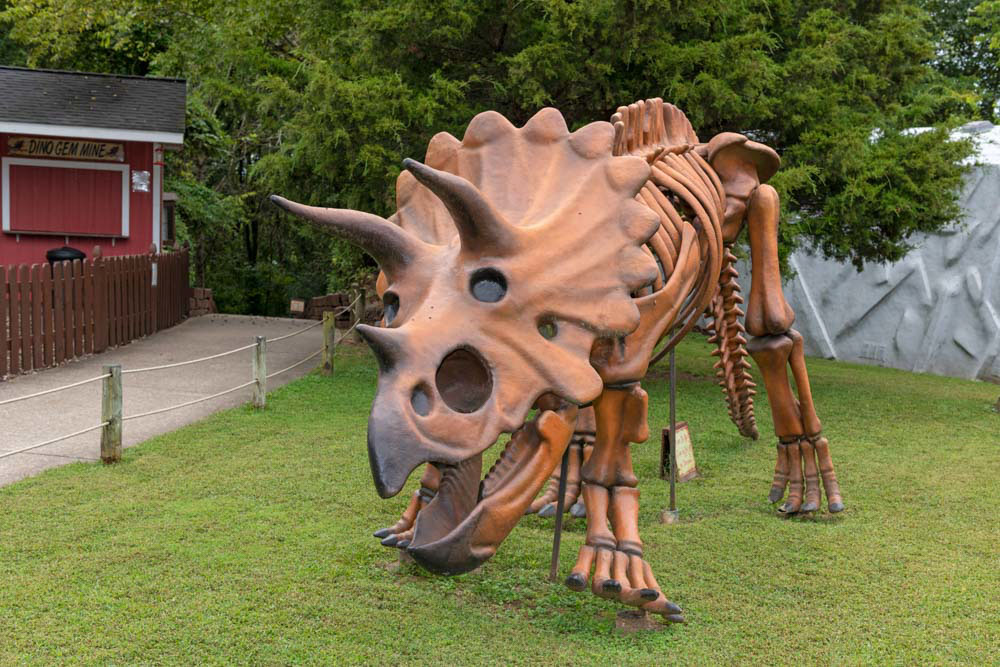 Unique Things to do in Kentucky: Dinosaur World