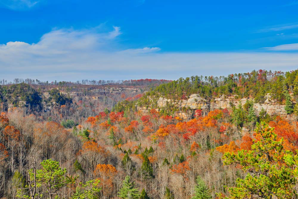 What to do in Kentucky: Red River Gorge