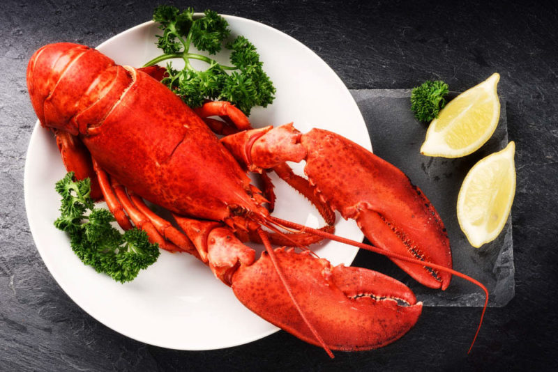 What to eat in Scotland: Fresh Lobster