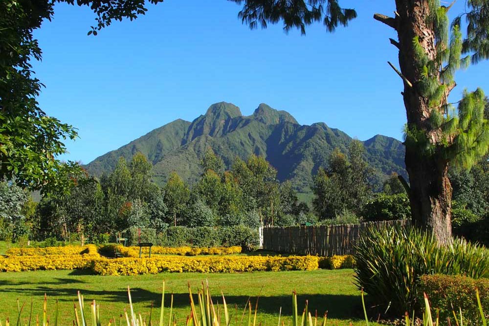 Where to Vacation in September: Volcanoes National Park, Rwanda