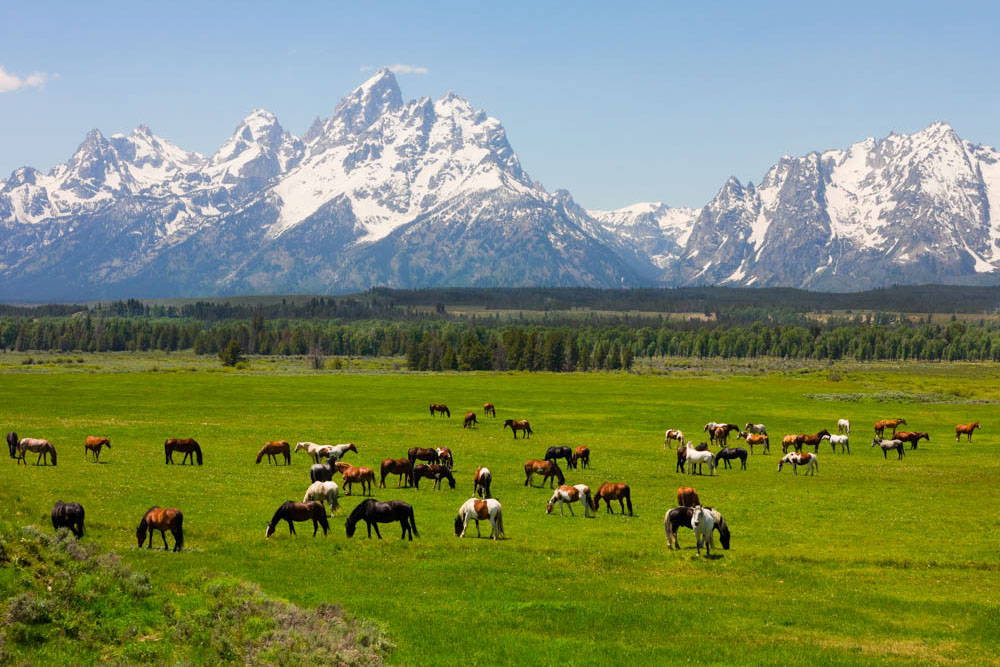 Best Places to Visit in USA in October: Grand Teton National Park, Wyoming